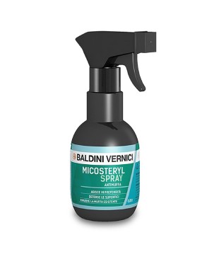 Baldini Vernici MICOSTERYL SPRAY antimuffa con cloro concentrato 0,25 LT